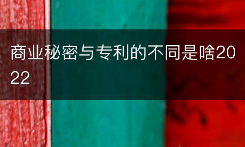 商业秘密与专利的不同是啥2022