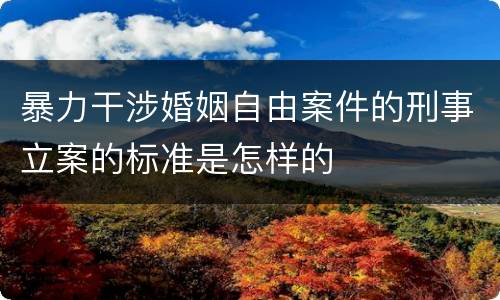 暴力干涉婚姻自由案件的刑事立案的标准是怎样的