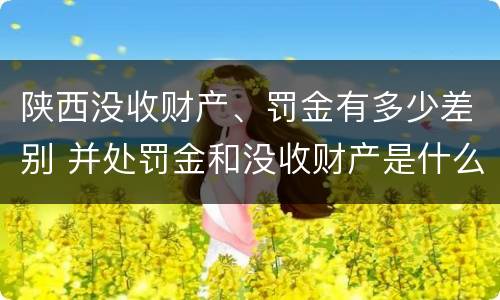 陕西没收财产、罚金有多少差别 并处罚金和没收财产是什么意思