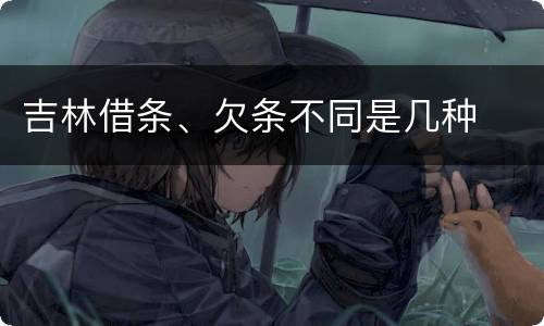 吉林借条、欠条不同是几种