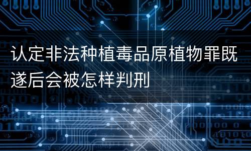 认定非法种植毒品原植物罪既遂后会被怎样判刑