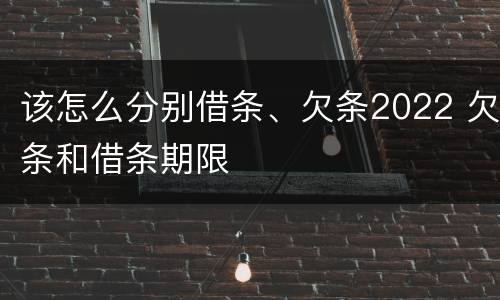 该怎么分别借条、欠条2022 欠条和借条期限