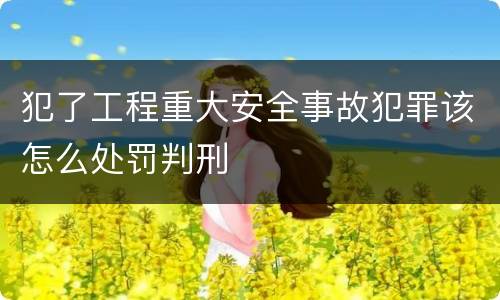犯了工程重大安全事故犯罪该怎么处罚判刑
