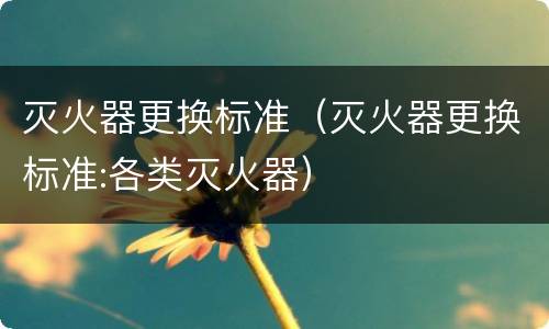 灭火器更换标准（灭火器更换标准:各类灭火器）