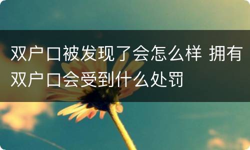 双户口被发现了会怎么样 拥有双户口会受到什么处罚
