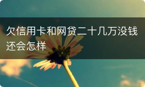 欠信用卡和网贷二十几万没钱还会怎样