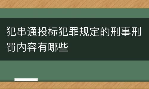 犯串通投标犯罪规定的刑事刑罚内容有哪些