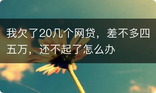 我欠了20几个网贷，差不多四五万，还不起了怎么办