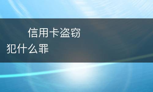 　　信用卡盗窃犯什么罪