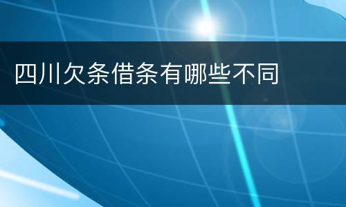 四川欠条借条有哪些不同