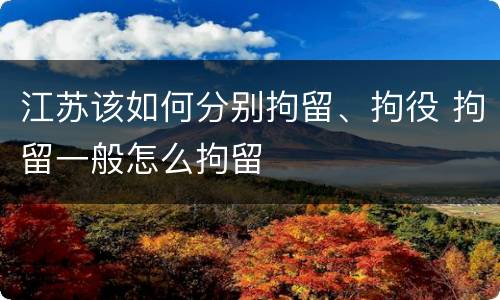 江苏该如何分别拘留、拘役 拘留一般怎么拘留