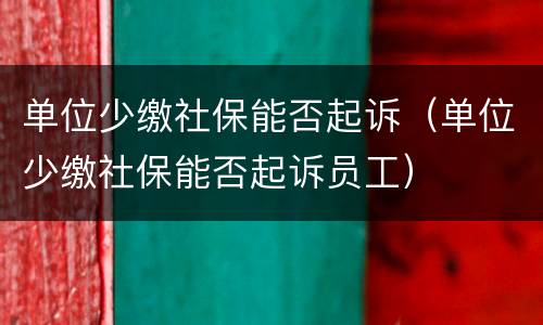 单位少缴社保能否起诉（单位少缴社保能否起诉员工）