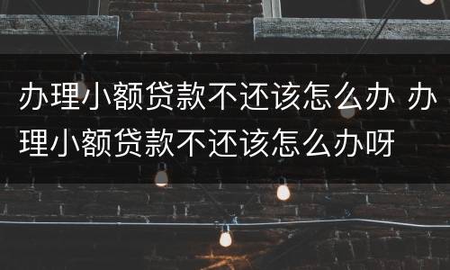 办理小额贷款不还该怎么办 办理小额贷款不还该怎么办呀