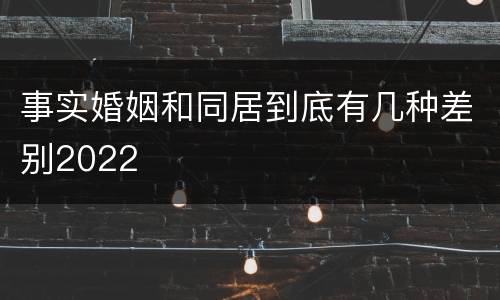 事实婚姻和同居到底有几种差别2022