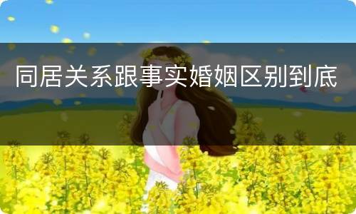 同居关系跟事实婚姻区别到底
