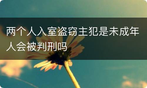 两个人入室盗窃主犯是未成年人会被判刑吗