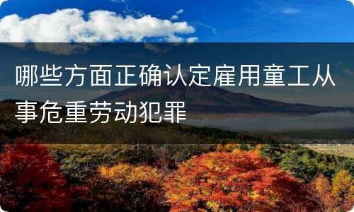 哪些方面正确认定雇用童工从事危重劳动犯罪