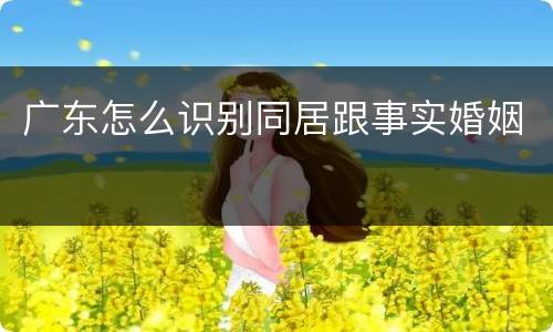 广东怎么识别同居跟事实婚姻