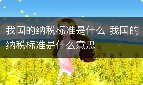 我国的纳税标准是什么 我国的纳税标准是什么意思