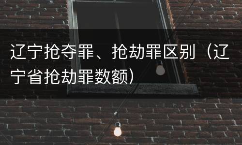 辽宁抢夺罪、抢劫罪区别（辽宁省抢劫罪数额）