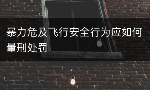 暴力危及飞行安全行为应如何量刑处罚