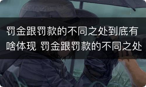 罚金跟罚款的不同之处到底有啥体现 罚金跟罚款的不同之处到底有啥体现呢