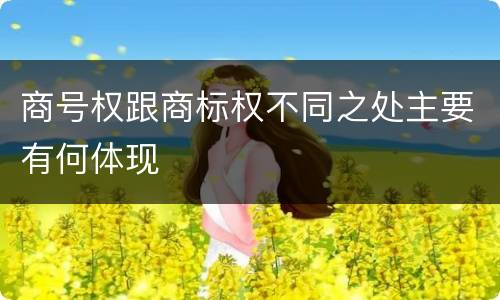 商号权跟商标权不同之处主要有何体现