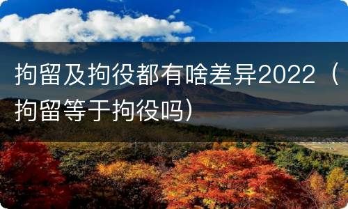 拘留及拘役都有啥差异2022（拘留等于拘役吗）