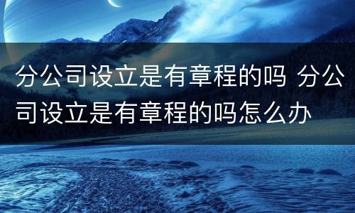 分公司设立是有章程的吗 分公司设立是有章程的吗怎么办
