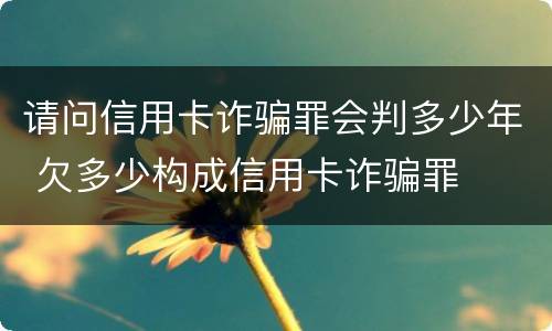 请问信用卡诈骗罪会判多少年 欠多少构成信用卡诈骗罪