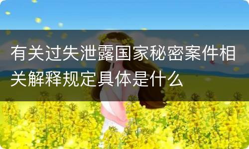 有关过失泄露国家秘密案件相关解释规定具体是什么