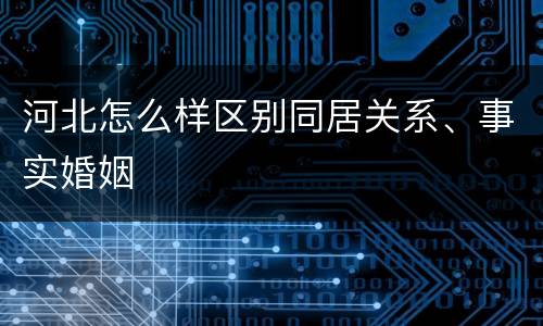 河北怎么样区别同居关系、事实婚姻