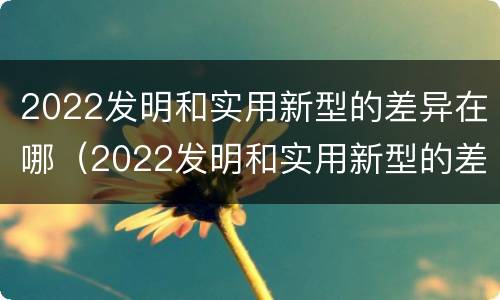 2022发明和实用新型的差异在哪（2022发明和实用新型的差异在哪里）