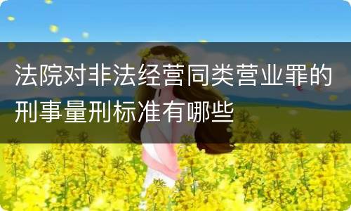法院对非法经营同类营业罪的刑事量刑标准有哪些