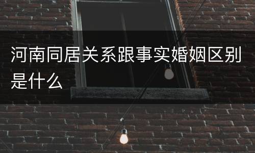 河南同居关系跟事实婚姻区别是什么