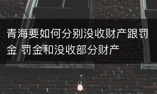 青海要如何分别没收财产跟罚金 罚金和没收部分财产