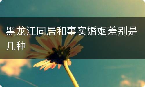 黑龙江同居和事实婚姻差别是几种