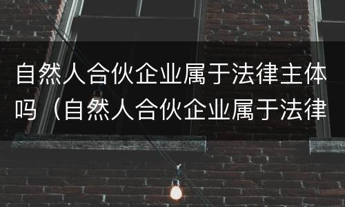 自然人合伙企业属于法律主体吗（自然人合伙企业属于法律主体吗知乎）
