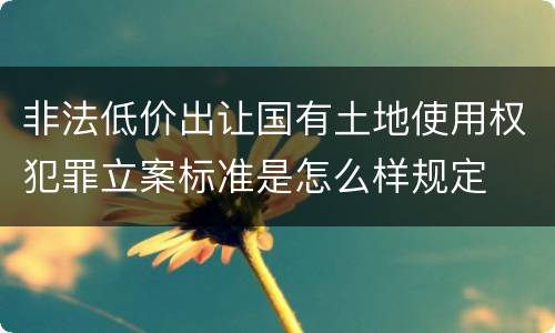 非法低价出让国有土地使用权犯罪立案标准是怎么样规定