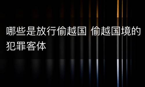 哪些是放行偷越国 偷越国境的犯罪客体