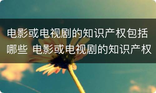 电影或电视剧的知识产权包括哪些 电影或电视剧的知识产权包括哪些内容