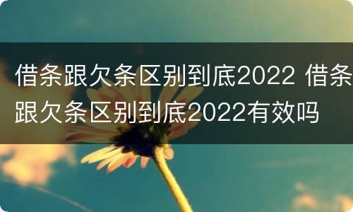 借条跟欠条区别到底2022 借条跟欠条区别到底2022有效吗