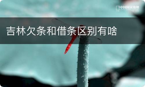 吉林欠条和借条区别有啥