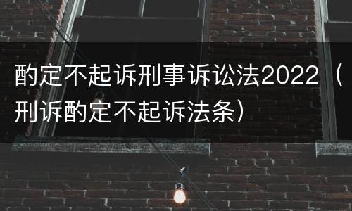 酌定不起诉刑事诉讼法2022（刑诉酌定不起诉法条）