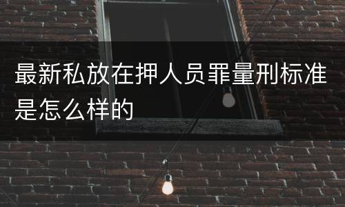 最新私放在押人员罪量刑标准是怎么样的