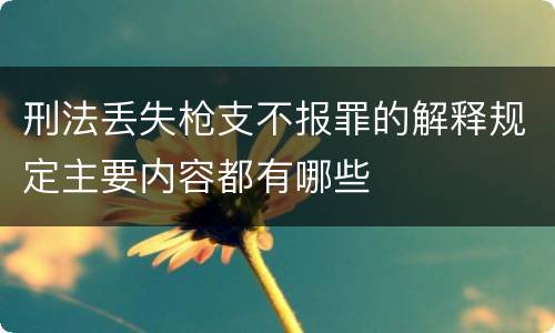 刑法丢失枪支不报罪的解释规定主要内容都有哪些