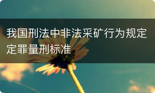 我国刑法中非法采矿行为规定定罪量刑标准