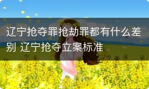 辽宁抢夺罪抢劫罪都有什么差别 辽宁抢夺立案标准