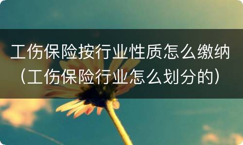 工伤保险按行业性质怎么缴纳（工伤保险行业怎么划分的）