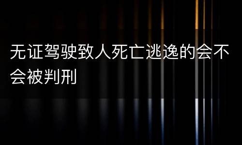 无证驾驶致人死亡逃逸的会不会被判刑